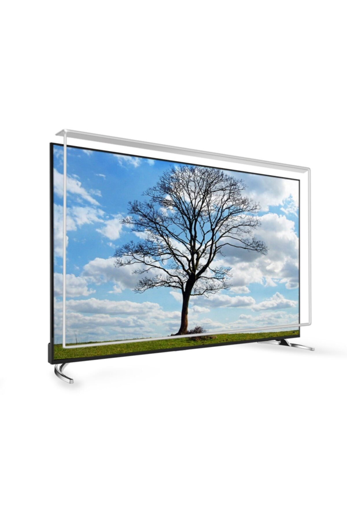 31,5'' (80 Ekran) Monitör Ekran Koruyucu