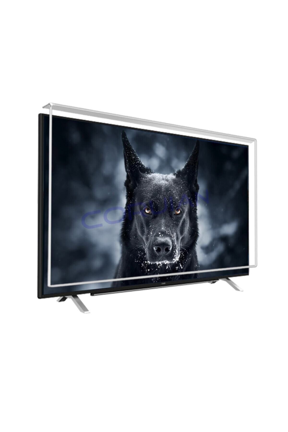 Hi Level 50'' 127 Ekran Tv Ekran Koruyucu / 3mm Ekran Koruma Paneli