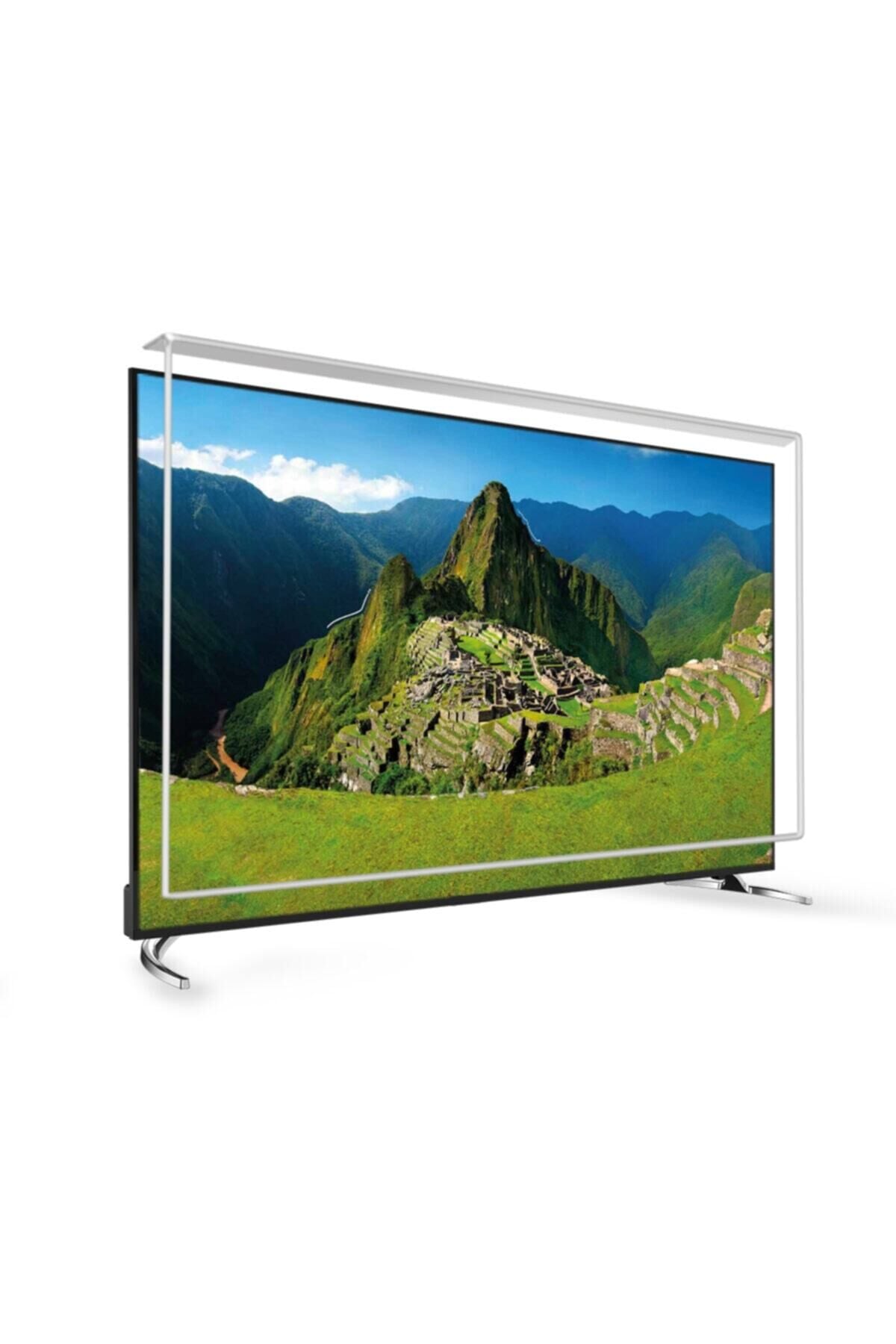 78 Inç 198 Ekran Tv Ekran Koruyucu  TECHWOOD Ekran Koruma Paneli