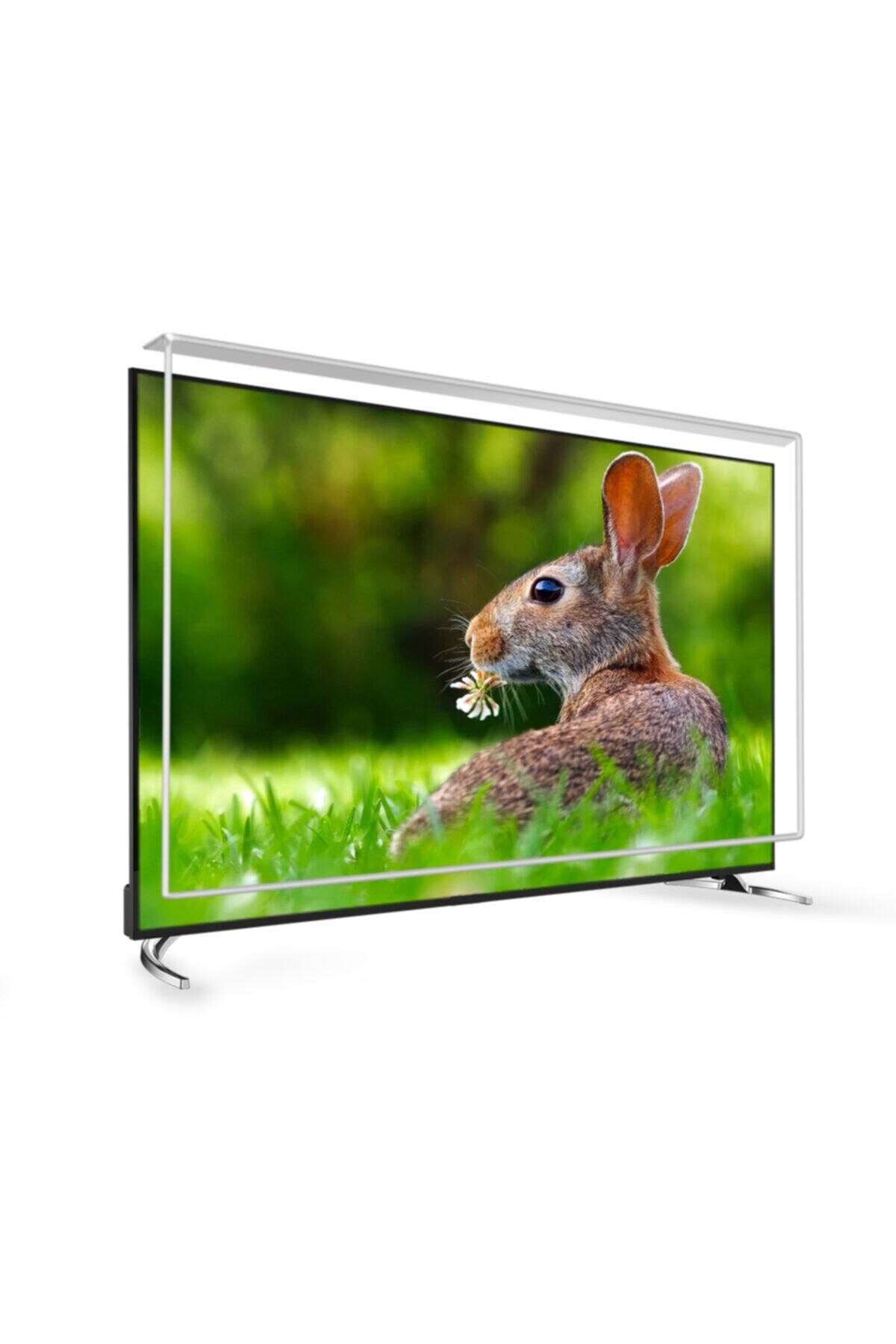 70 Inç 178 Ekran Tv Ekran Koruyucu  TECHWOOD Ekran Koruma Paneli