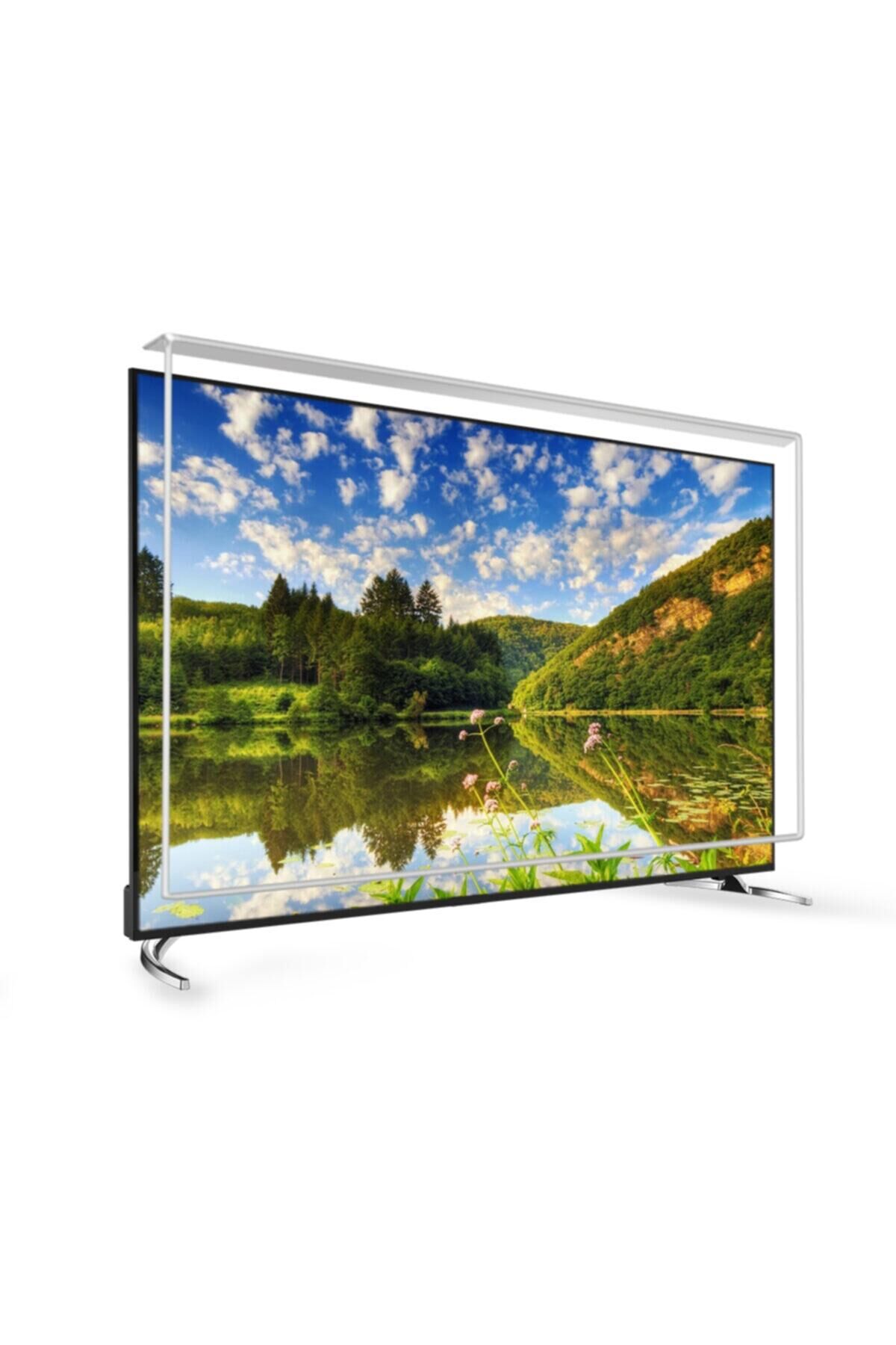 58 Inç 147 Ekran Tv Ekran Koruyucu  TECHWOOD Ekran Koruma Paneli