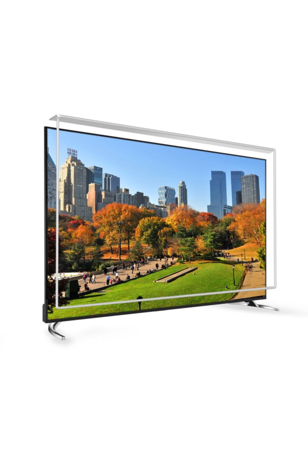 65 Inç 165 Ekran Tv Ekran Koruyucu  TECHWOOD Ekran Koruma Paneli