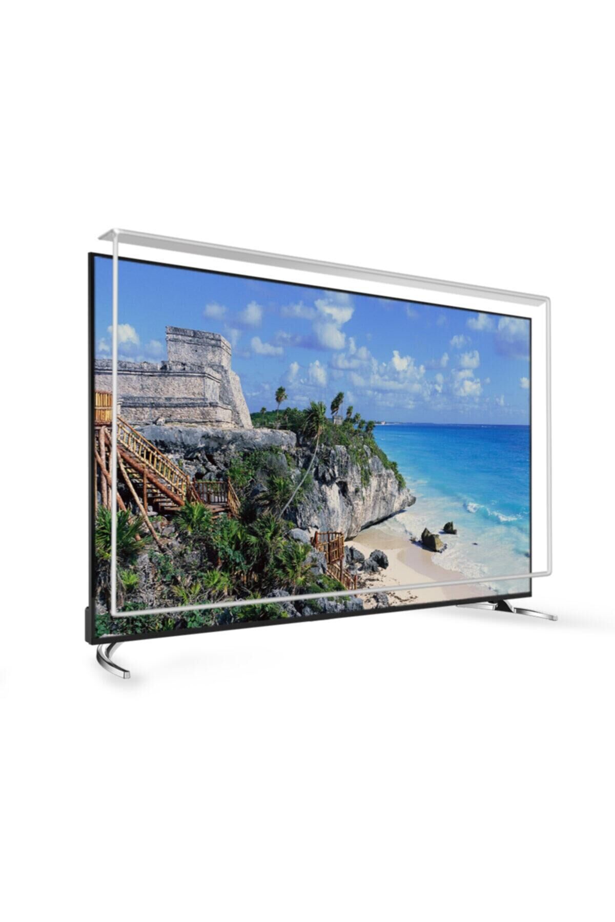 88 Inç 224 Ekran Tv Ekran Koruyucu  TECHWOOD Ekran Koruma Paneli