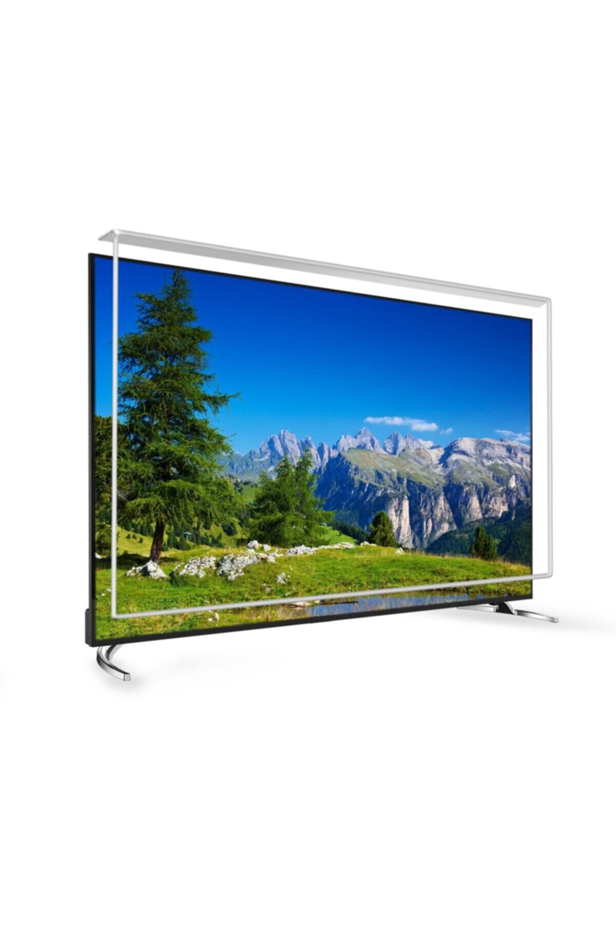 47 Inç 119 Ekran Tv Ekran Koruyucu  TECHWOOD Ekran Koruma Paneli