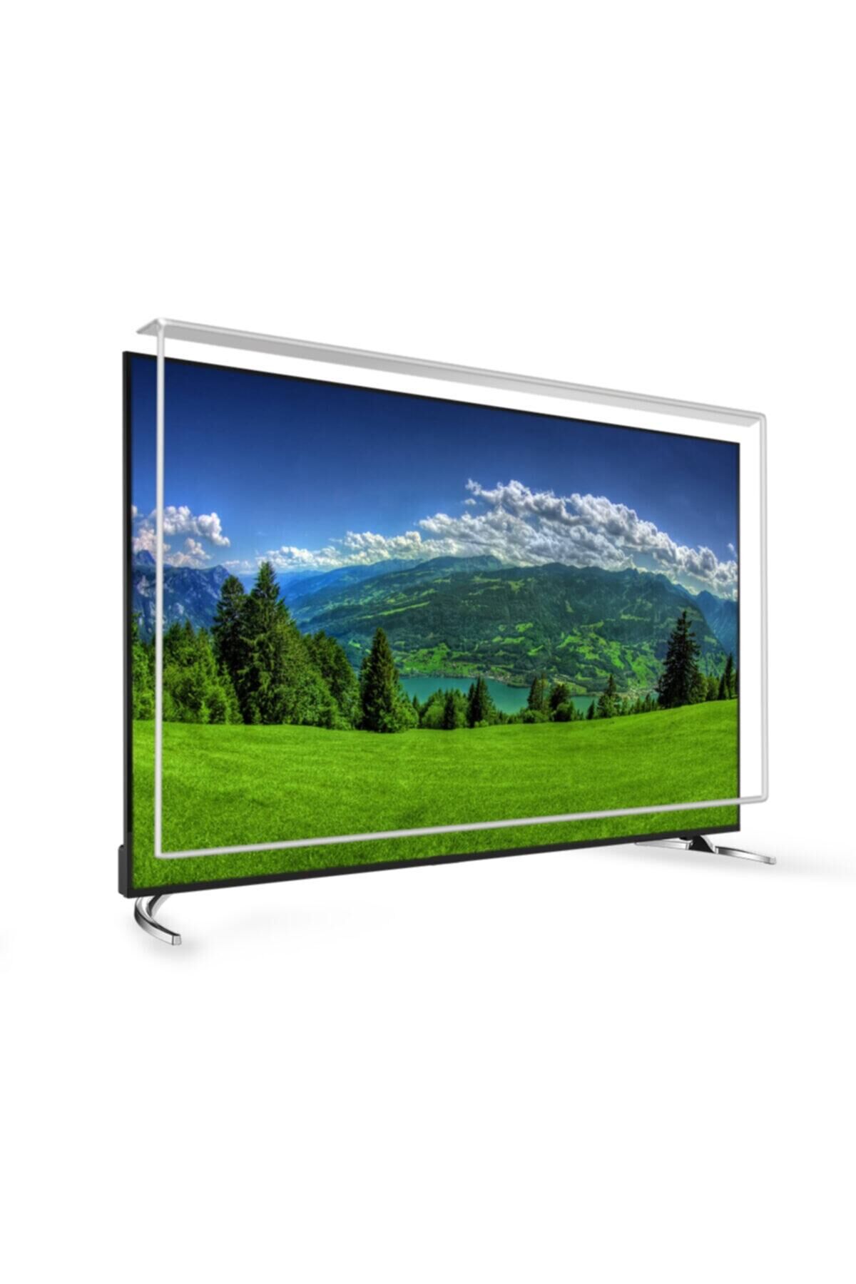 49 Inç 124 Ekran Tv Ekran Koruyucu  TECHWOOD Ekran Koruma Paneli