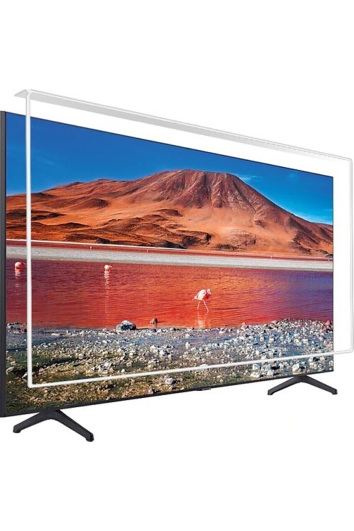65'' Inç Tv Ekran Koruyucu 165 Ekran