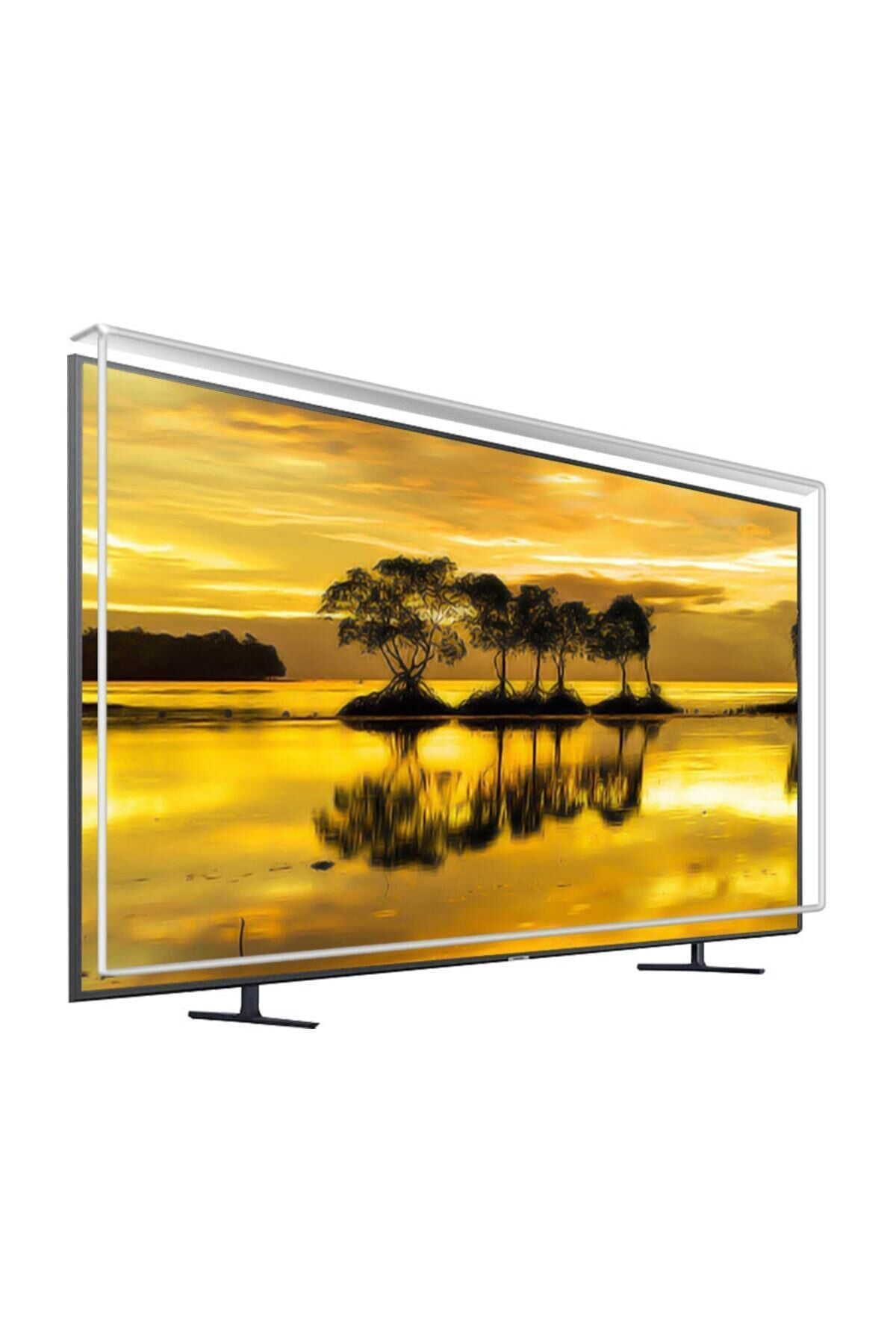 47'' 119 Ekran Tv Ekran Koruyucu / Ekran Koruma Camı